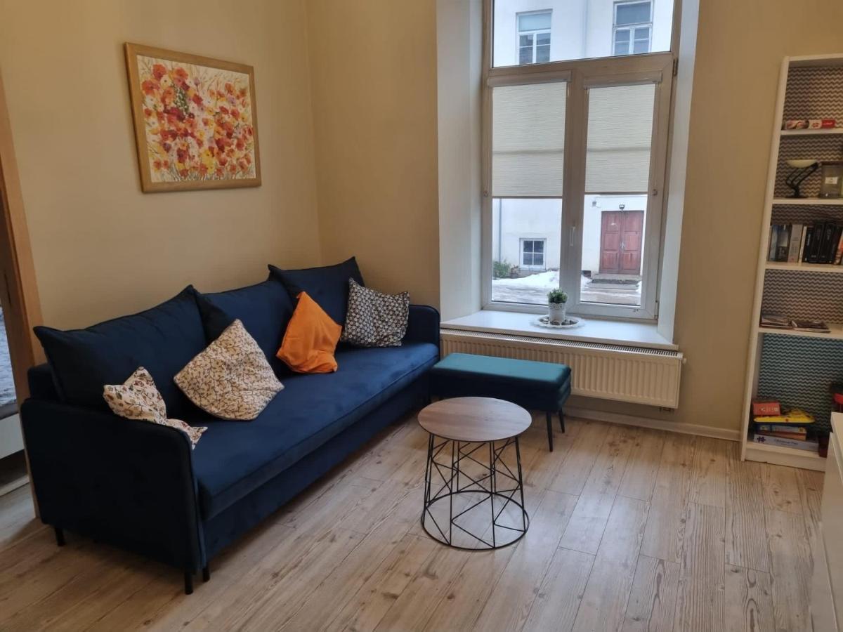 Igo Apartment Uzupis Vilnius Bagian luar foto