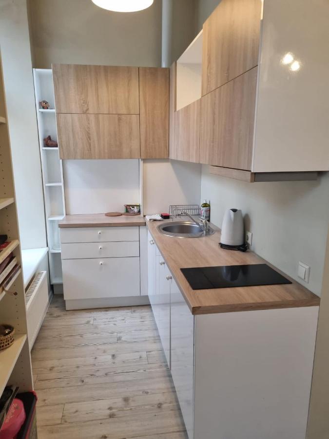 Igo Apartment Uzupis Vilnius Bagian luar foto