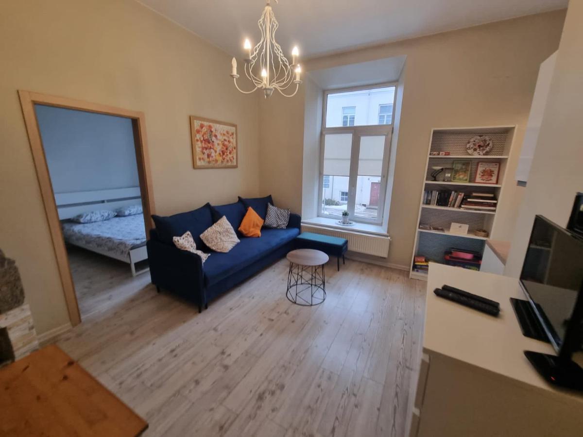 Igo Apartment Uzupis Vilnius Bagian luar foto